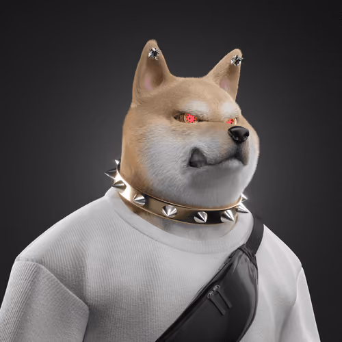Shiba #5496