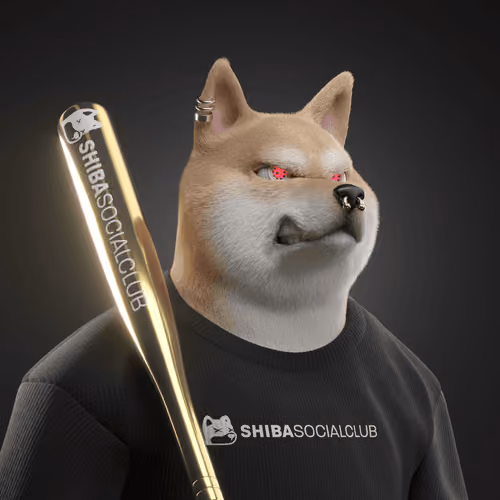 Shiba #4742