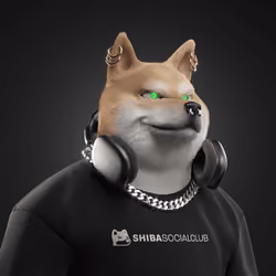Shiba #2736