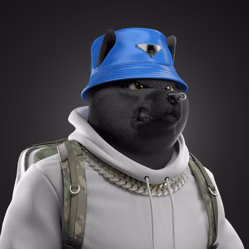 Shiba Social Club