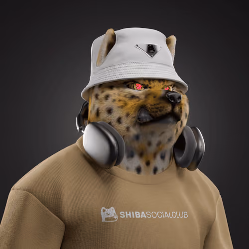 Shiba #4866