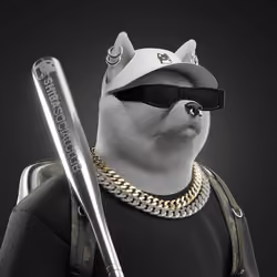 Shiba #5566