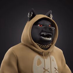 Shiba #903