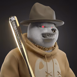Shiba #6172
