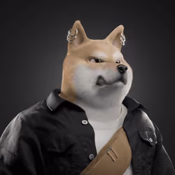 Shiba #6122