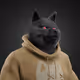 7067