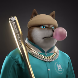 Shiba #3509