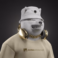 Shiba #4958