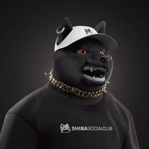 Shiba #383