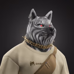 Shiba #355
