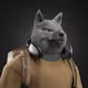 536