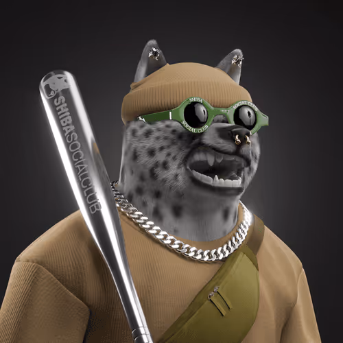 Shiba #2231