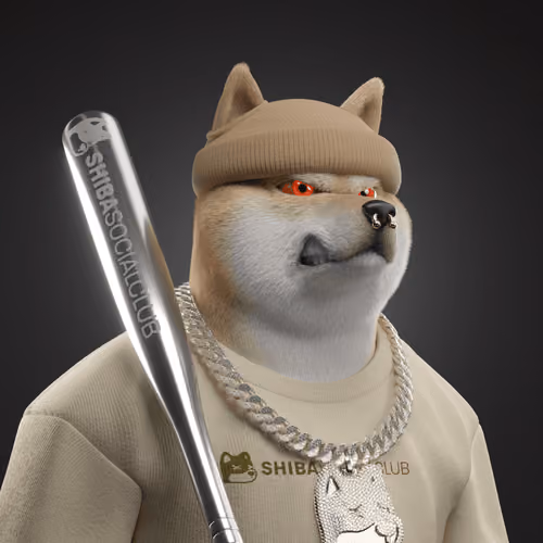 Shiba #3689