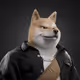 6729