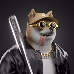 Shiba #5204