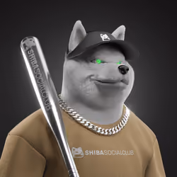 Shiba #7124