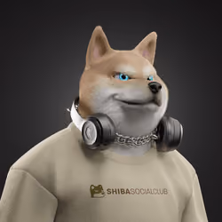 Shiba #3707