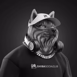 Shiba #7403