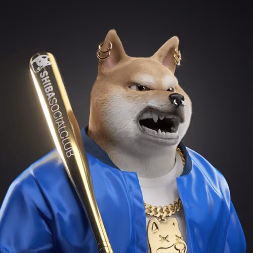 Shiba #115