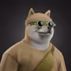 4629