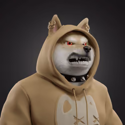Shiba #3921