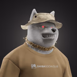 Shiba #7600
