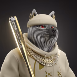 Shiba #3154