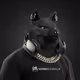 2204