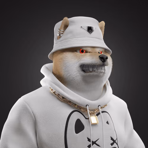 Shiba #5561