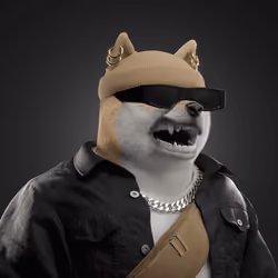 Shiba #6559