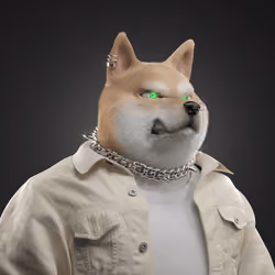 Shiba #5398