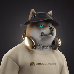 Shiba #7468