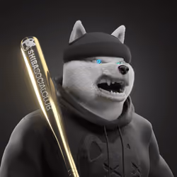 Shiba #5879