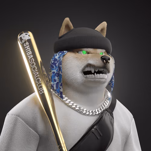 Shiba #3666