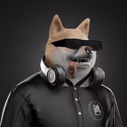 Shiba #5145