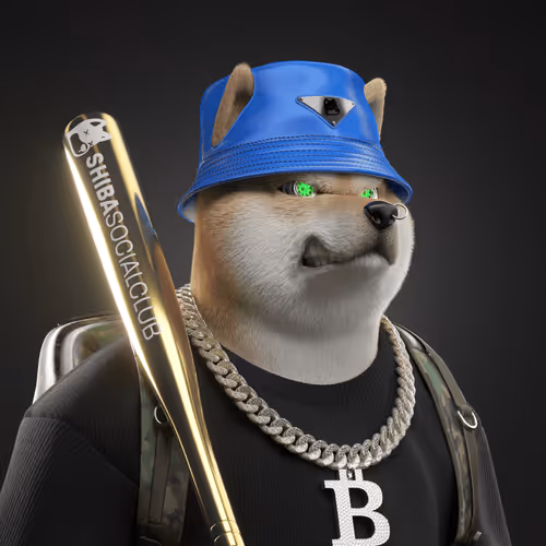 Shiba #34