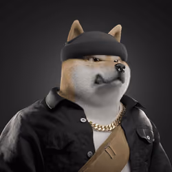 Shiba #5272