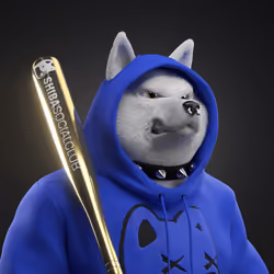 Shiba #133