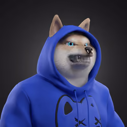 Shiba #5802