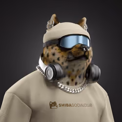 Shiba #6382