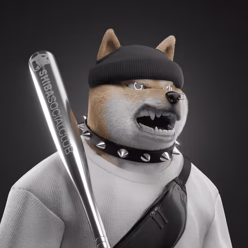 Shiba #3597