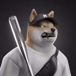 Shiba #6631