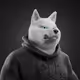 5431