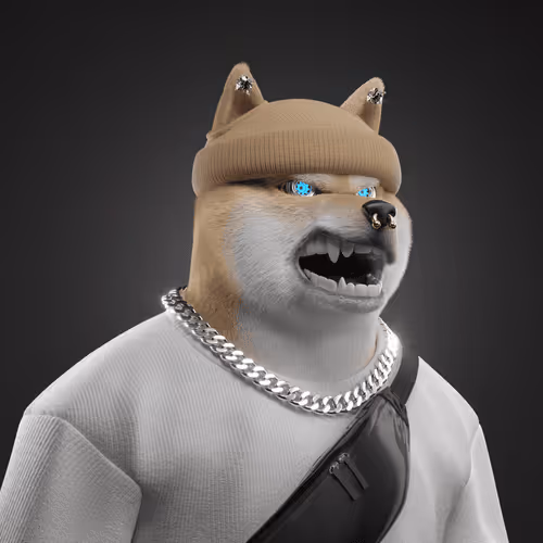 Shiba #6791