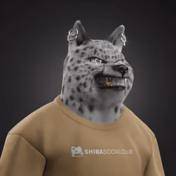 Shiba #5435