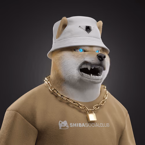 Shiba #3916