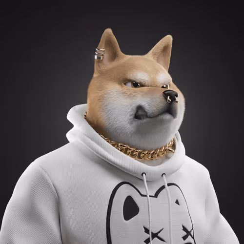 Shiba #2743