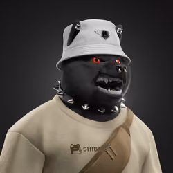 Shiba #2803