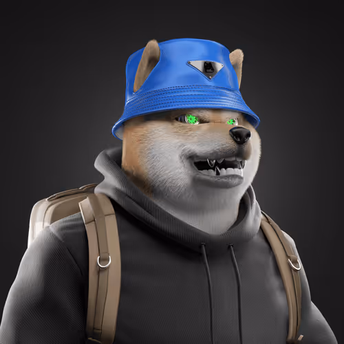 Shiba #62