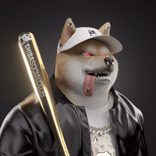 Shiba #5171